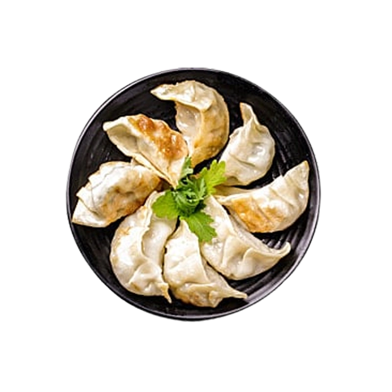 Fried Dumplings (3)