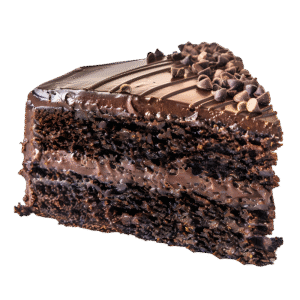 Fudge Cake
